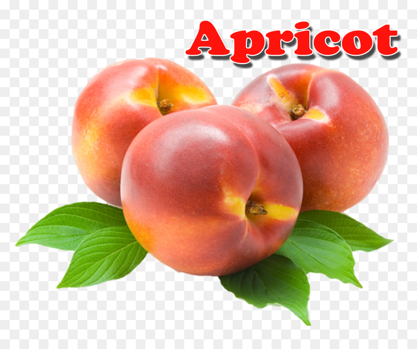 Nectarines , Png Download - Nectarines, Transparent Png - apricot png
