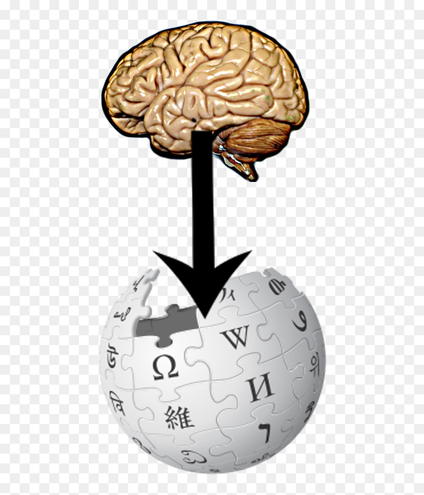From Brain To Wikipedia - Wikipedia Logo Png, Transparent Png - brain transparent png