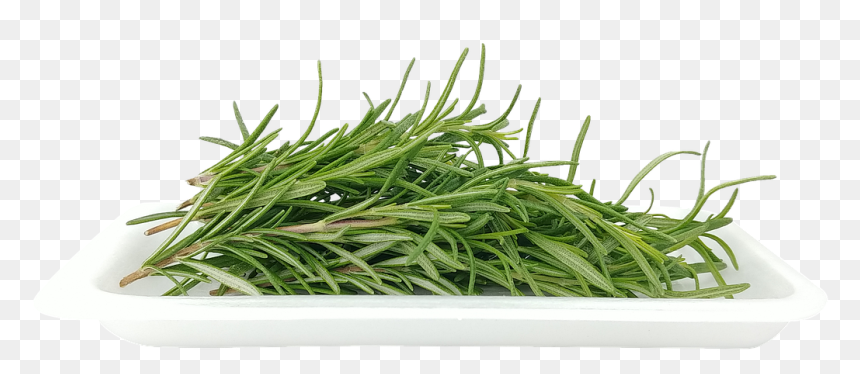 Rosemary, HD Png Download - rosemary png