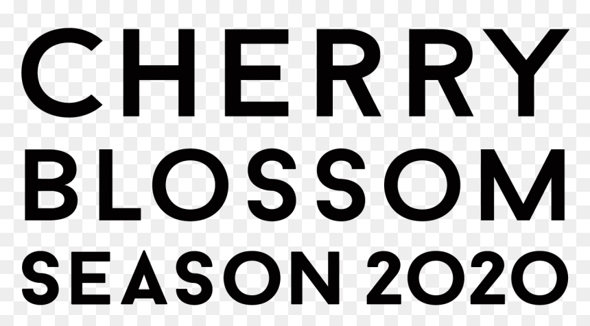 Cherry Blossom Season - Sw Postcode Area, HD Png Download - sakura petals png