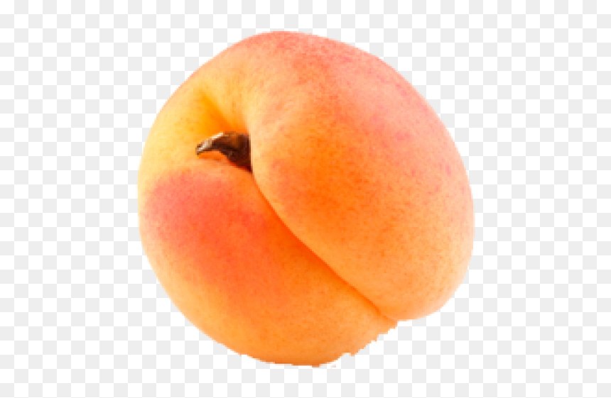 Apricot Png Icon Free Download - Peach, Transparent Png - apricot png