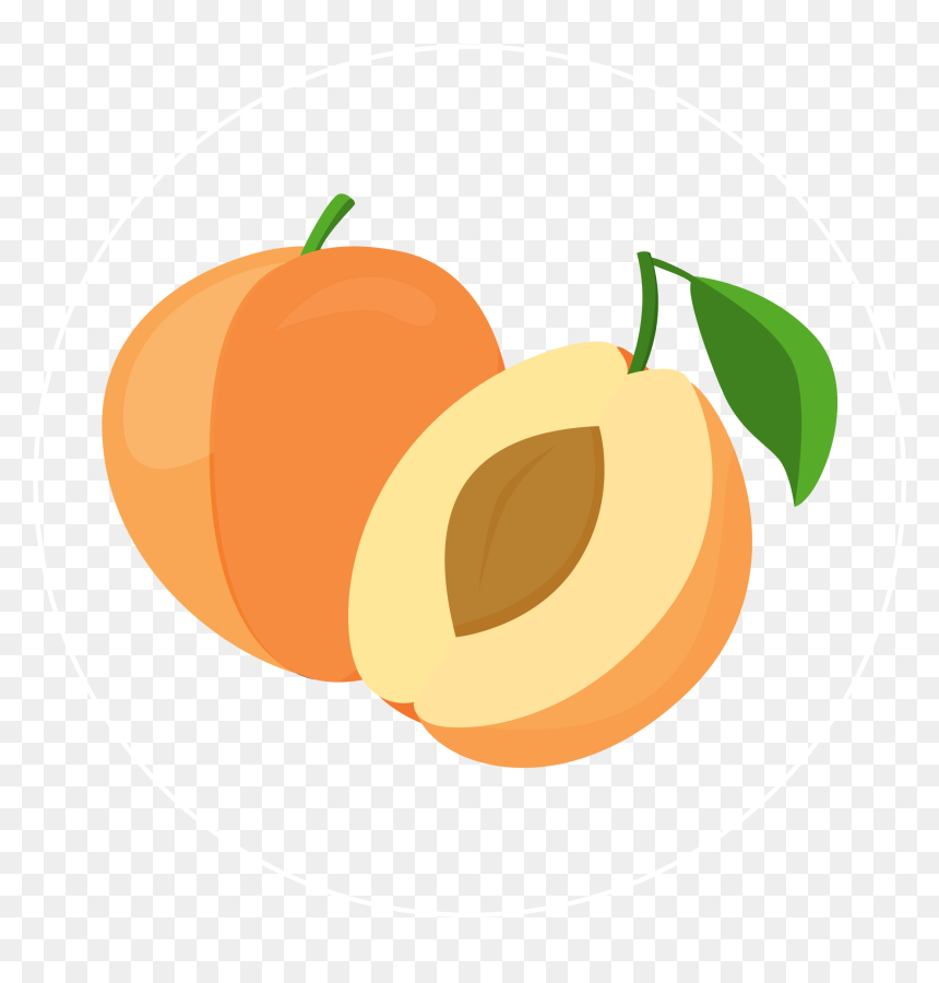 Apricot-icon - Apricot Icon, HD Png Download - apricot png