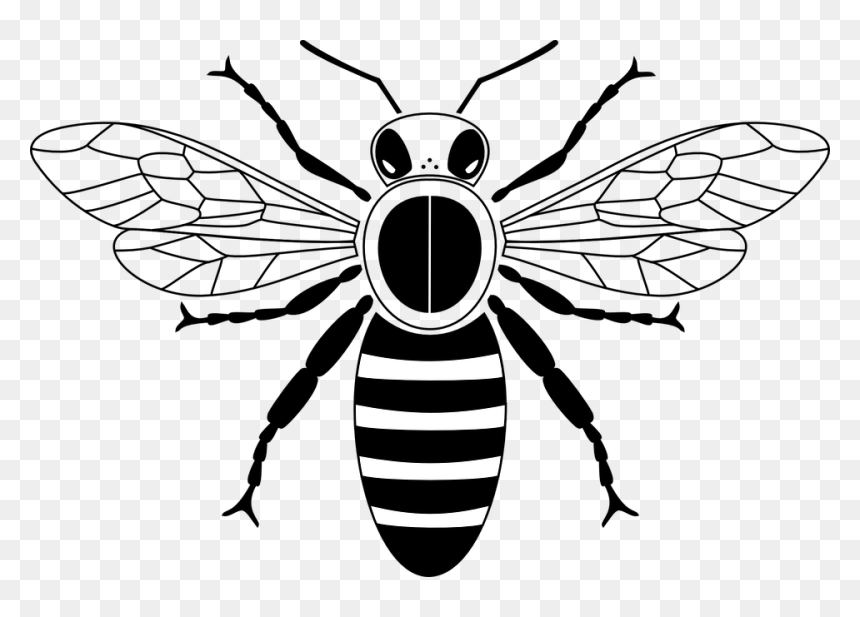 Honey Bee Clipart Black And White Png, Transparent Png - flying bee png