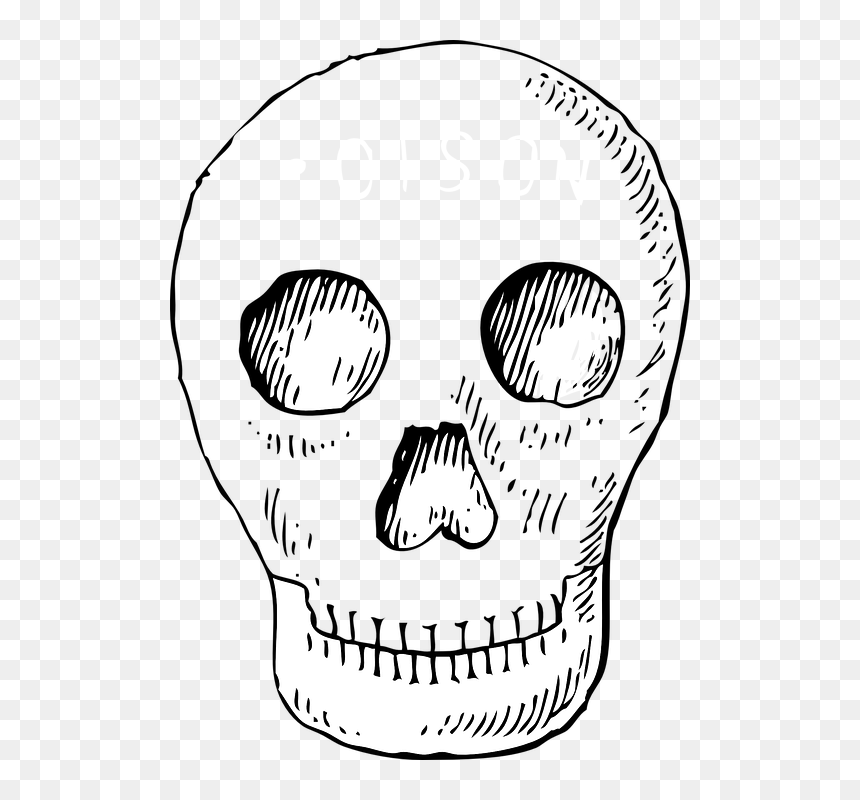 Skull Pirate Head Free Vector Graphic On - Day Of The Dead Pictures Clip Art, HD Png Download - skeleton head png