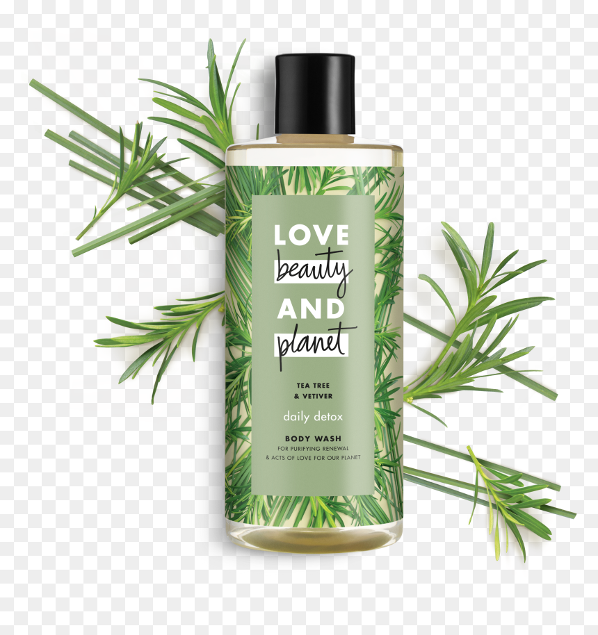 Love Beauty And Planet Rosemary & Vetiver Shower Gel, HD Png Download - rosemary png