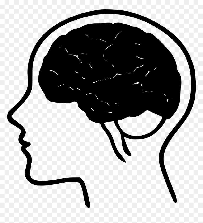 Brain Biology - Portable Network Graphics, HD Png Download - brain transparent png