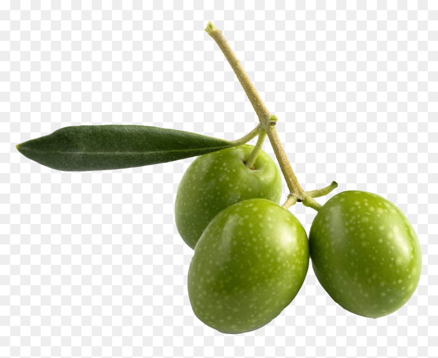 Olive Png Pic - Olive Squalane Oil, Transparent Png - olive png