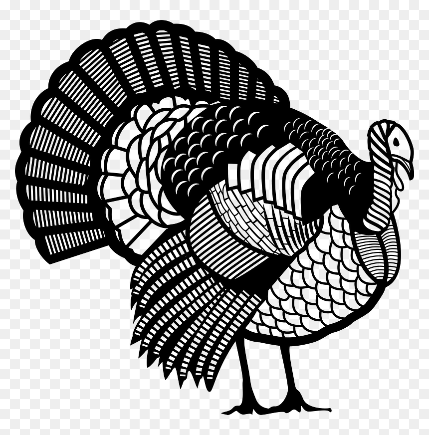 Turkey Clipart - Turkey Vector Png, Transparent Png - turkey transparent png
