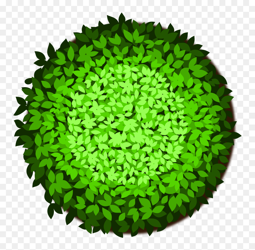 Tree-31d - Grass Png Clipart Top, Transparent Png - plant top view png