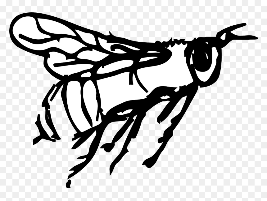 Portable Network Graphics, HD Png Download - flying bee png
