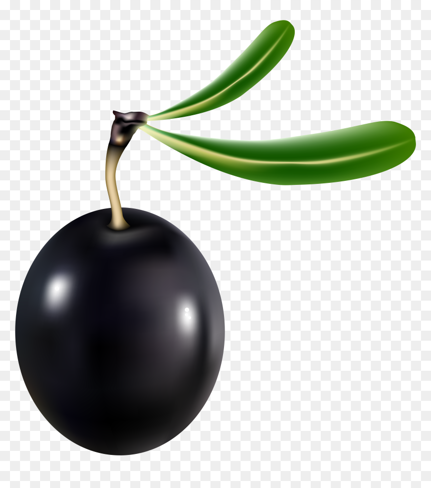Black Olive Png , Png Download - Black Olive Clipart, Transparent Png - olive png