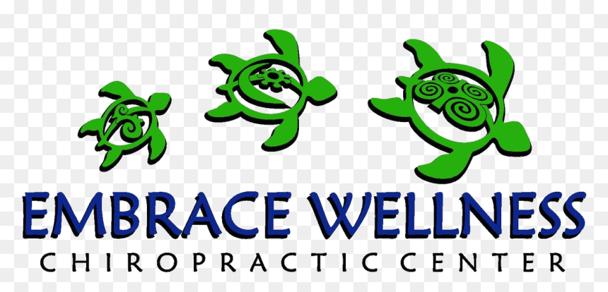Embrace Wellness Chiropractic Center Keizer Chiropractor - Cartoon, HD Png Download - se habla espanol png
