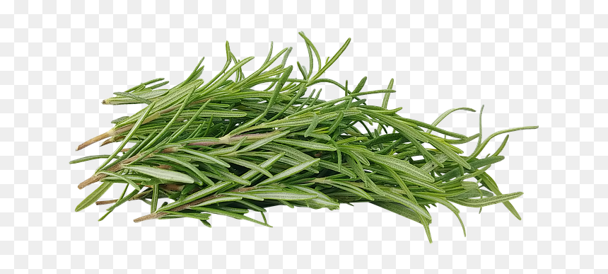 Rosemary, HD Png Download - rosemary png