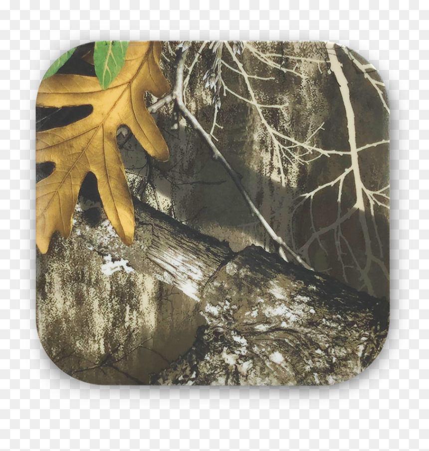 9220 Realtree Qi Charger Top View - Maple, HD Png Download - plant top view png