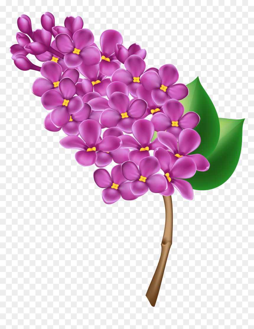 Purple Flower Clipart Top View - Lilac Clipart, HD Png Download - plant top view png