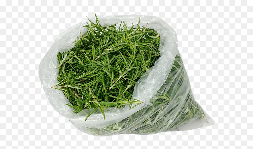 Hierochloe, HD Png Download - rosemary png