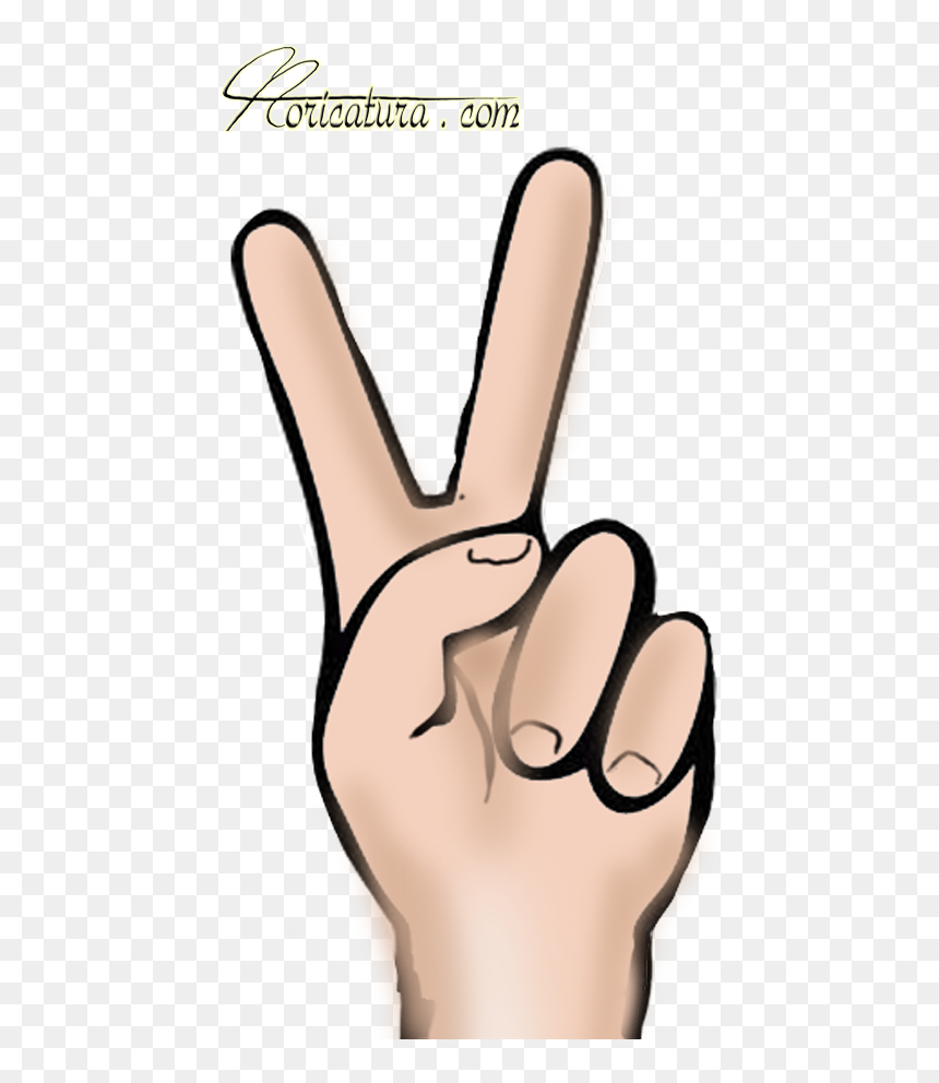 Thumb Image - Illustration, HD Png Download - acordeon png