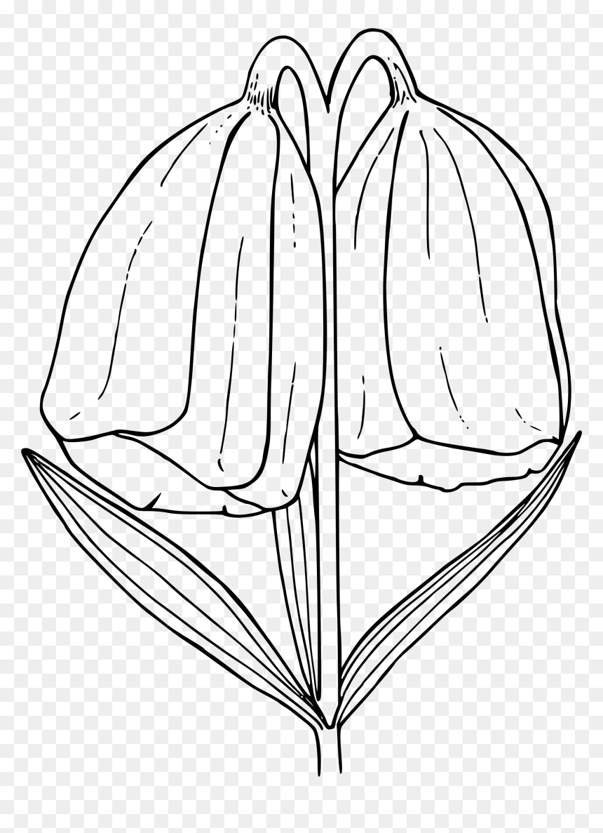 Yellow Bells Clip Arts - Yellowbell Clipart Black And White, HD Png Download - bells png