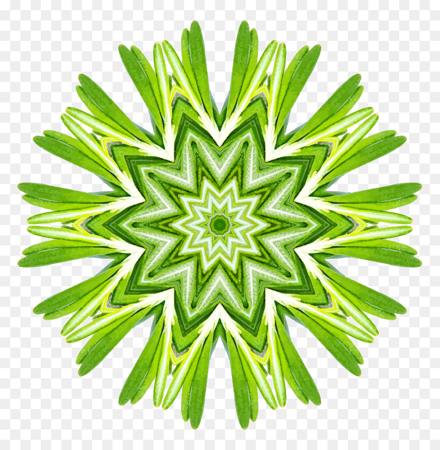 Rosemary Kaleidoscope, HD Png Download - rosemary png