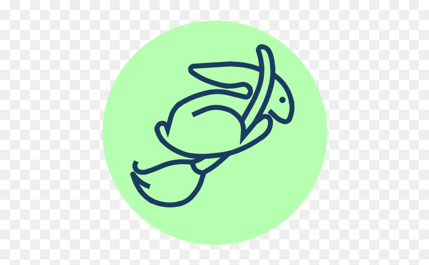Circle, HD Png Download - cleaning lady png