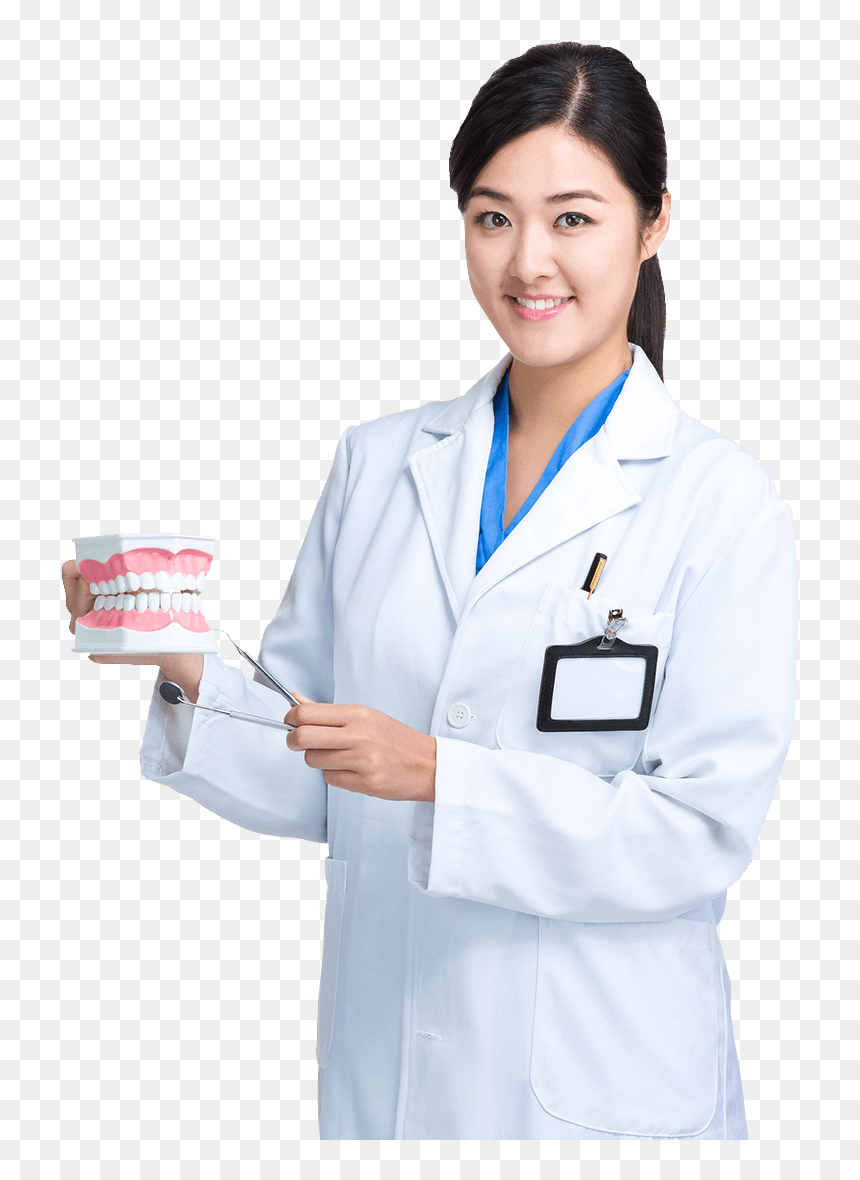 Physician Dentistry Tooth Dental Implant - Transparent Female Doctor Png, Png Download - dentist png