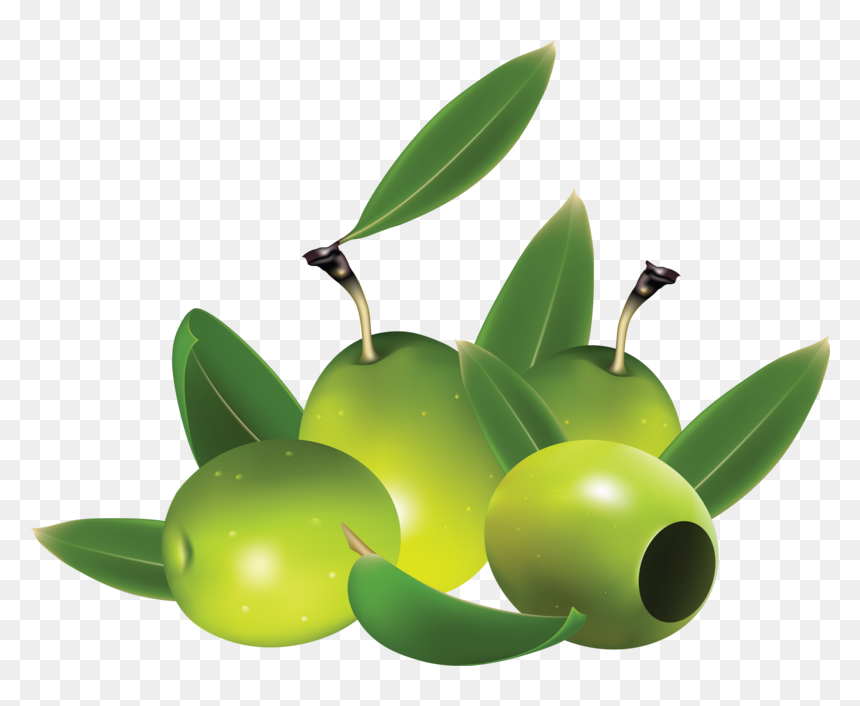 Green Olive Png - Green Olives Transparent, Png Download - olive png
