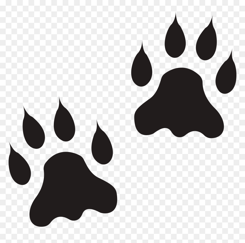 Lion Paw Clipart Jpg Black And White Download Lion, HD Png Download - wolf paw print png