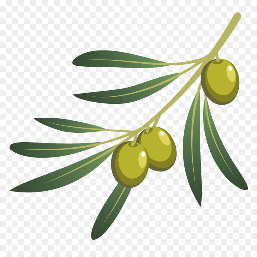 Olive Oil Olive Branch - Transparent Background Olive Clipart, HD Png Download - olive png