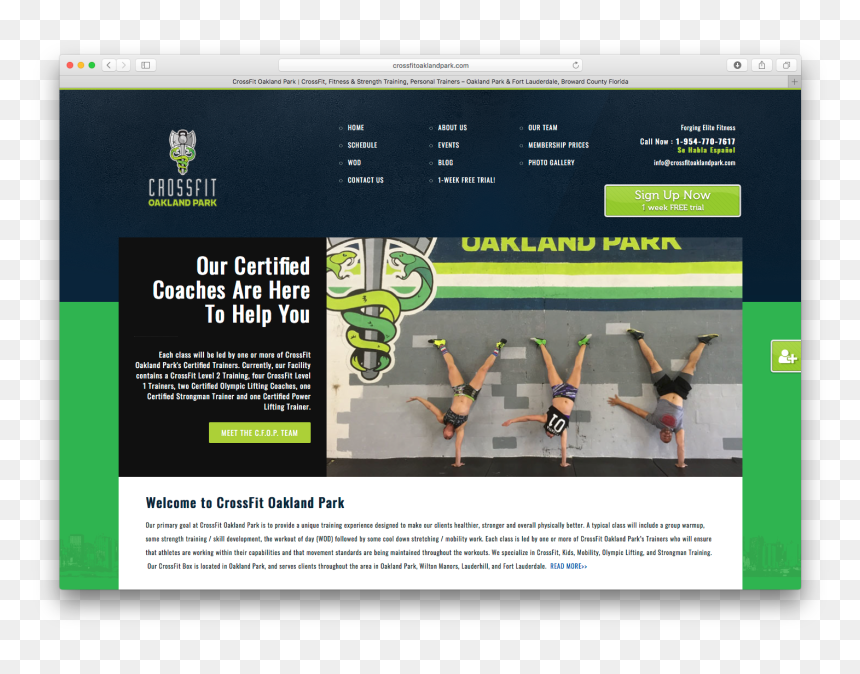 Website, HD Png Download - se habla espanol png