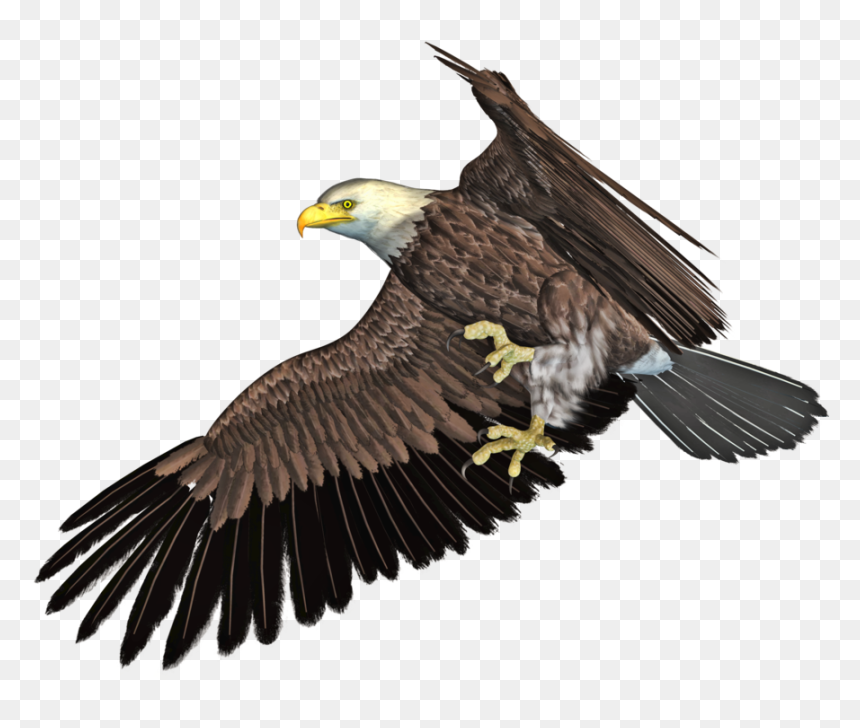 Flying Eagle Png - 3d Eagle Png, Transparent Png - eagle.png