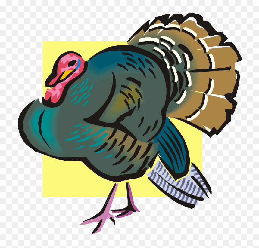 Turkeys Clipart Wild Turkey - Turkey Meat, HD Png Download - turkey transparent png