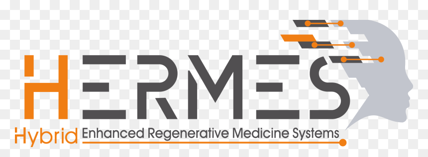 Hermes Project, Our Involvement In Regenerative Medicine - Glas Ceyssens, HD Png Download - medicine png images