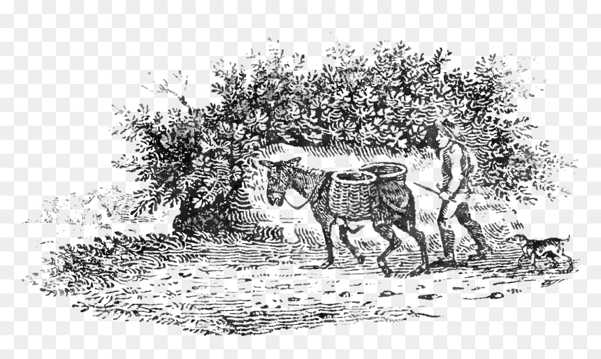 Day A Pastoral P13 - Illustration, HD Png Download - indian ox png