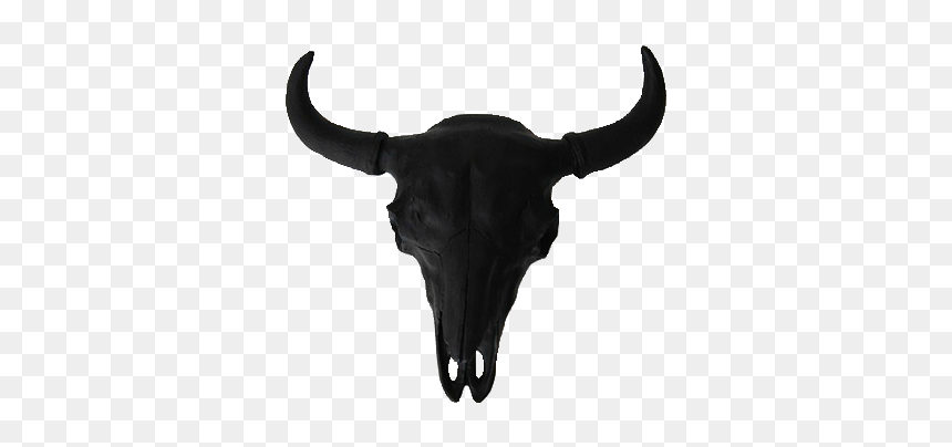Black Bull Transparent Background, HD Png Download - skull png tumblr