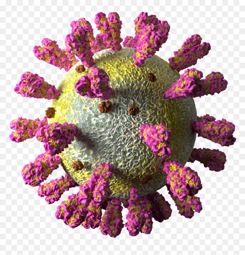 Bouquet, HD Png Download - surprised patrick png