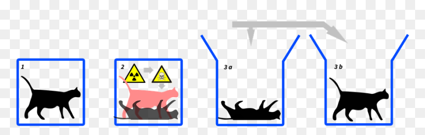 Physics-3864568 960 720 - Schrodinger's Cat, HD Png Download - physics png