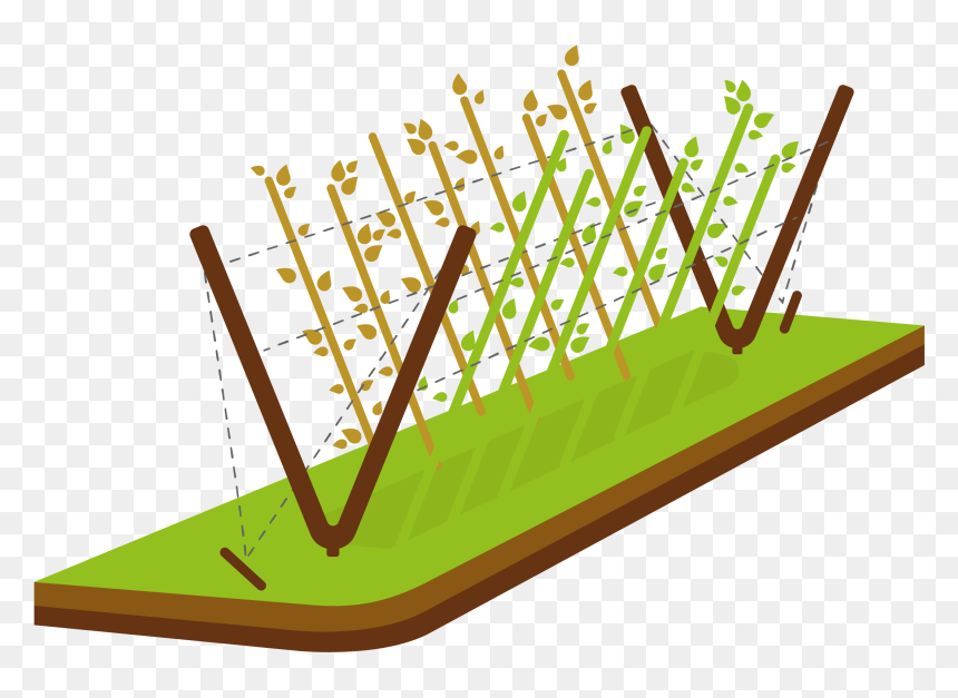 Simply Drive Two Stakes Into The Ground At An Angle - Illustration, HD Png Download - at-at png