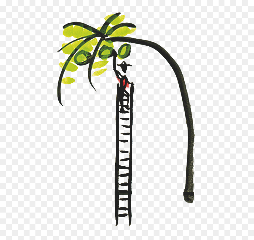Coconut Clipart Branch - Invo Gogonut Water, HD Png Download - tender coconut png