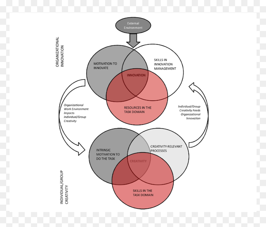 Creative Work Environments Png - Circle, Transparent Png - creativity png