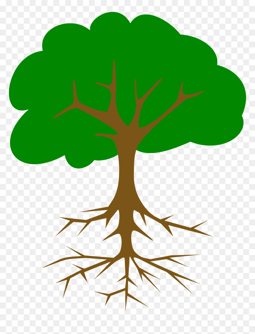 Apple Tree With Roots, HD Png Download - root png