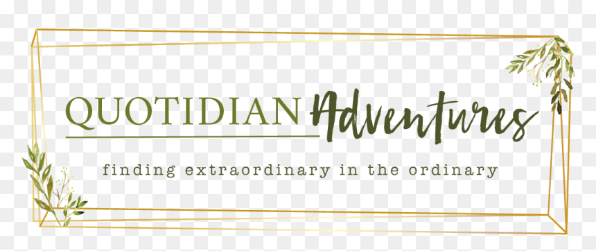 Quotidian Adventures - Calligraphy, HD Png Download - advent wreath png