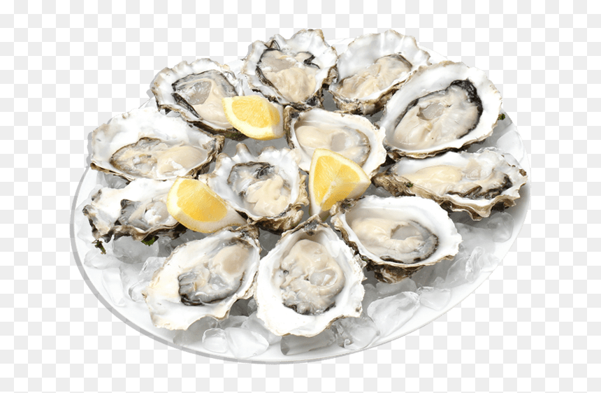 Oysters Clip Arts - Oysters Png, Transparent Png - oysters png