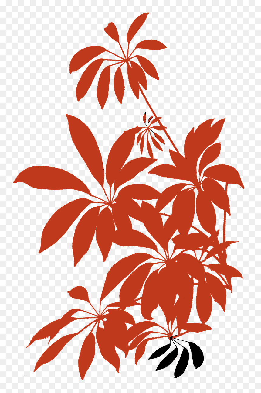 Ilustrasi Tanaman Hias, HD Png Download - apartment png
