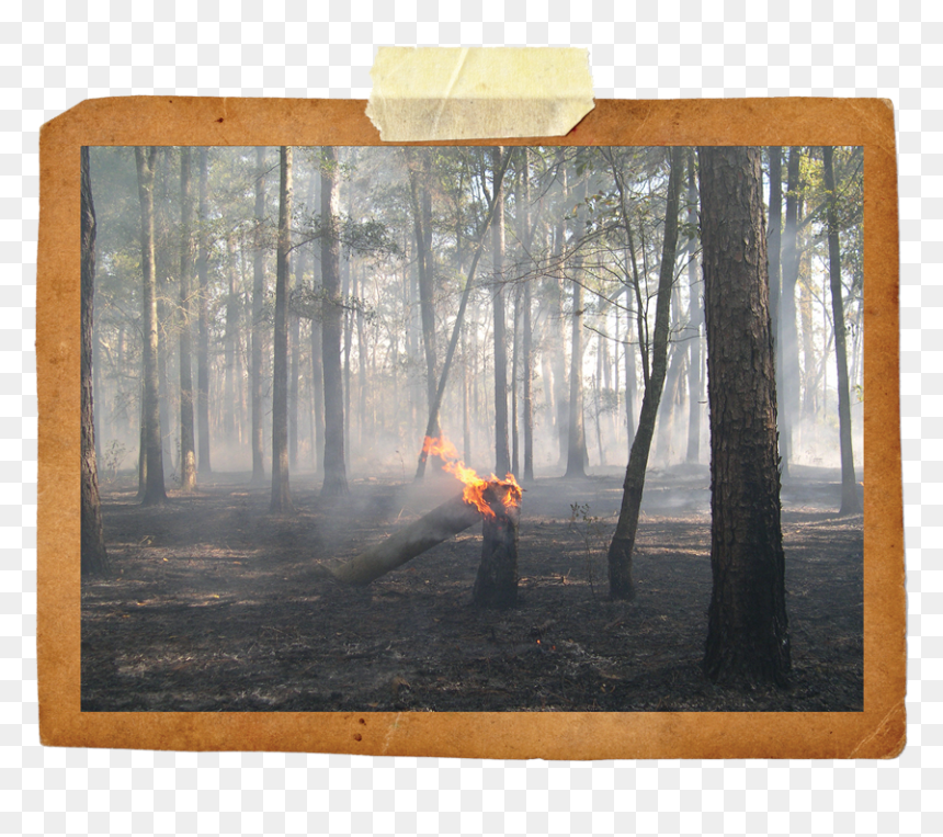 Picture Frame, HD Png Download - smoke plume png