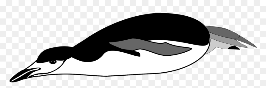 Black And White Penguin Diving, HD Png Download - swim png