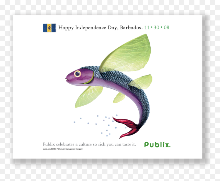 Publix Caribbean Fish Ad - Cartoon, HD Png Download - publix png