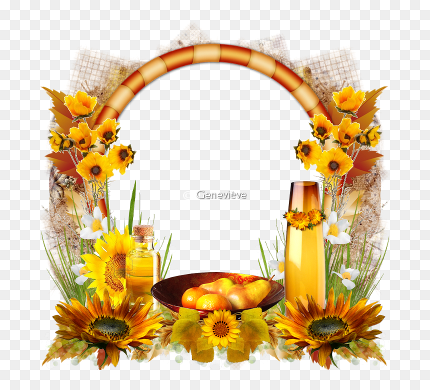 199379clustertournesol - Cluster Tournesol Png, Transparent Png - birthday photo frames png