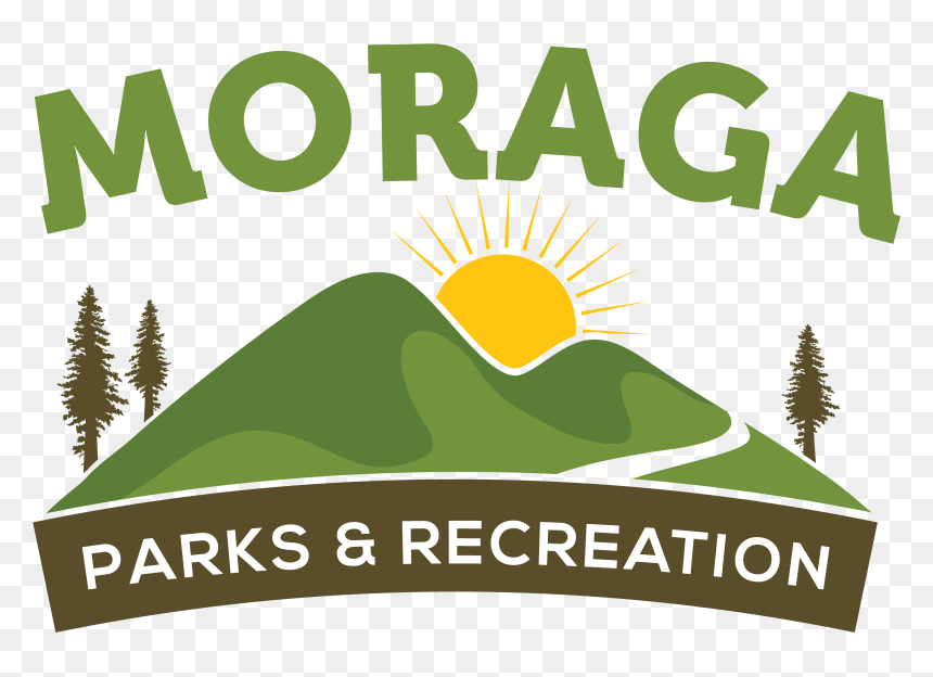 Sitka Spruce, HD Png Download - garage sale png