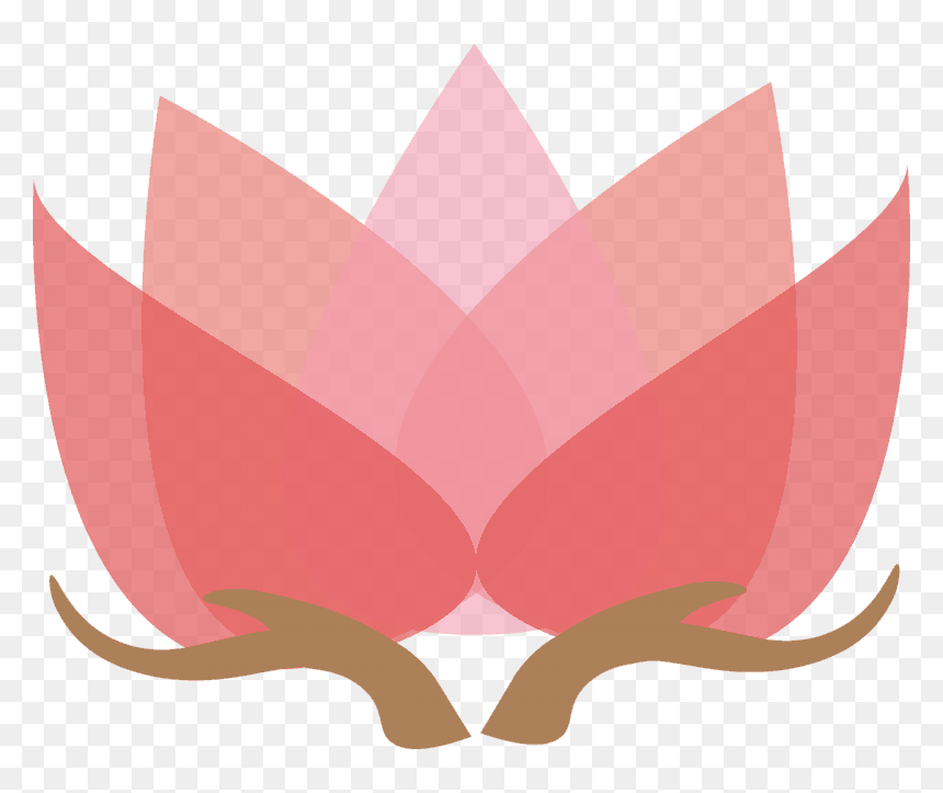 Photography Logo - Transparent Government In Fact, HD Png Download - photography logo vector png