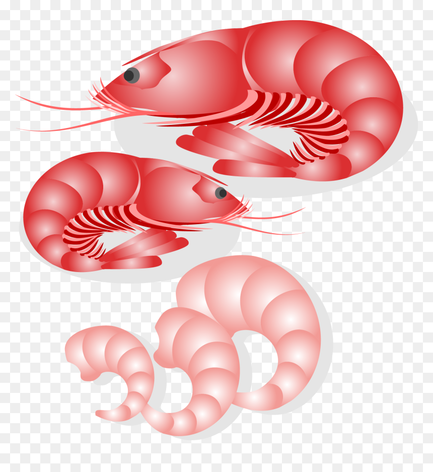 Thumb Image - Рисунок Блюда Из Рыбы, HD Png Download - seafood png